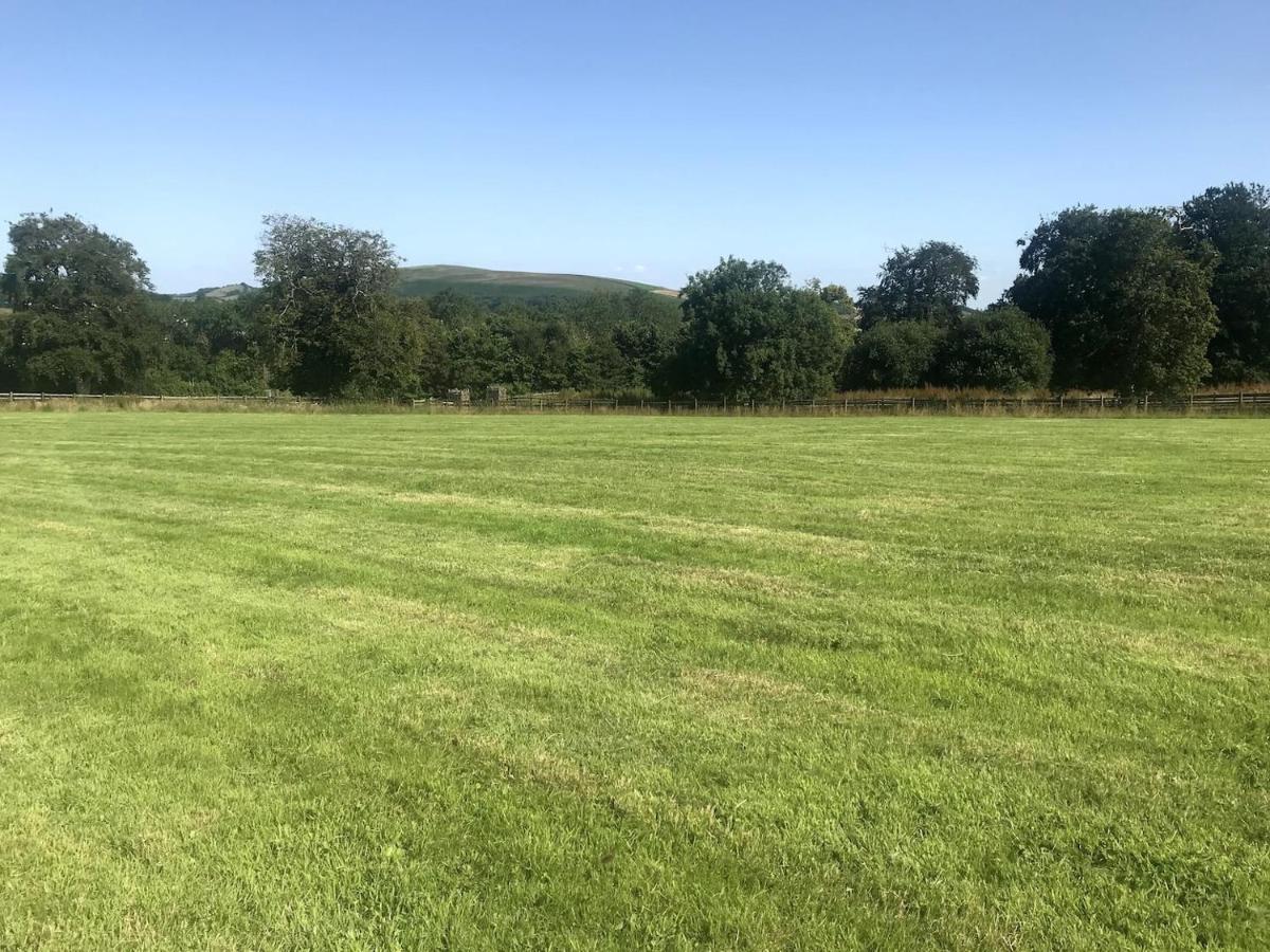 Romantic Rural Break In Countryside Castle Grounds Private Retreat Wizards Rest Bishops Tawton Exteriör bild